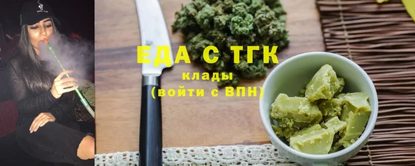 стаф Ельня