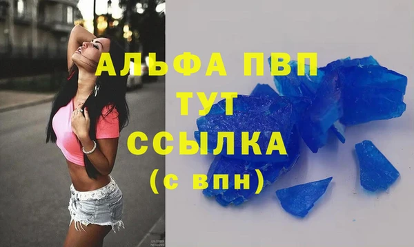 стаф Ельня