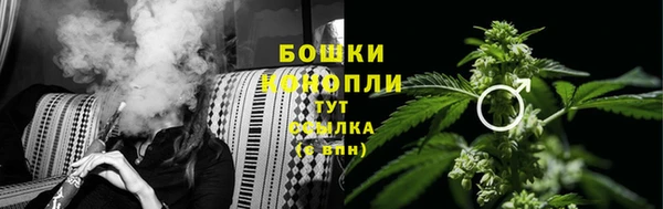 стаф Ельня