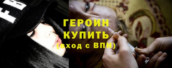 стаф Ельня
