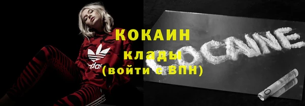 стаф Ельня