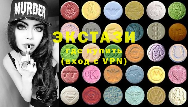 стаф Ельня