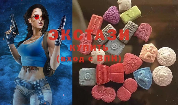 стаф Ельня