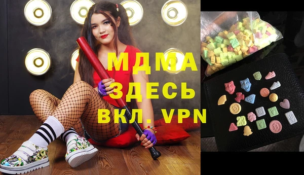 стаф Ельня