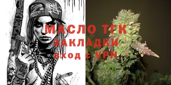 стаф Ельня
