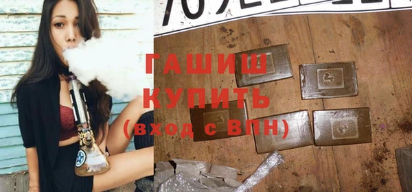 стаф Ельня
