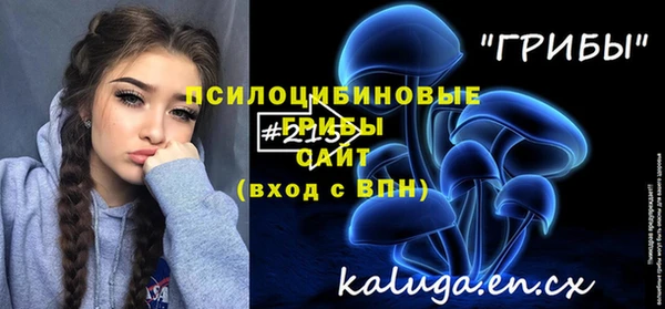 стаф Ельня