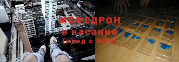 стаф Ельня