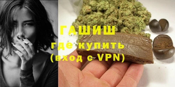 стаф Ельня