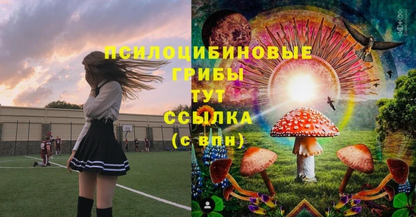 стаф Ельня