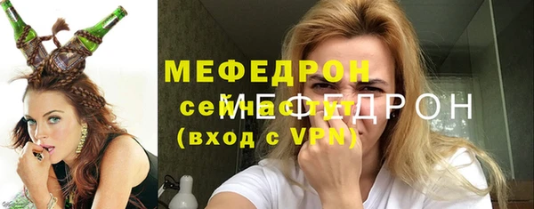 стаф Ельня