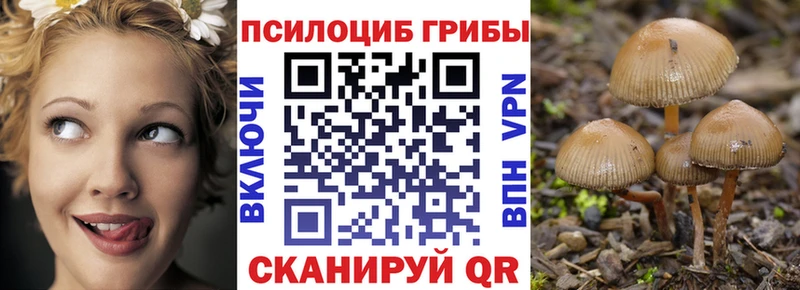 Псилоцибиновые грибы Magic Shrooms  Купить закладки  Зея 